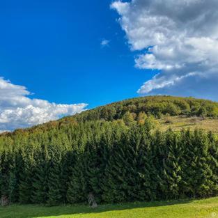 Dome Home Tents Taor Valjevo Esterno foto